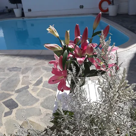 Hotel Casa Bianca 2*