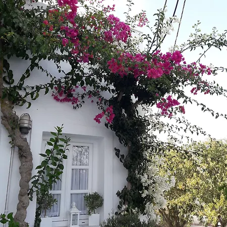 Casa Bianca 2* Imerovigli (Santorini)