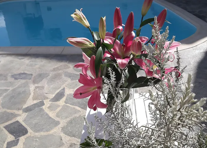 Отель Casa Bianca 2*