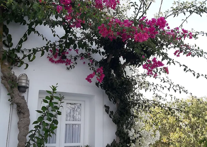 Casa Bianca 2* Имеровигли